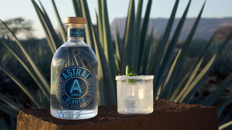 An Astral Margarita against a shallow backdrop of an agave field